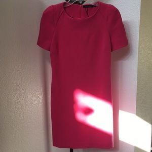 Bright pink Zara Dress